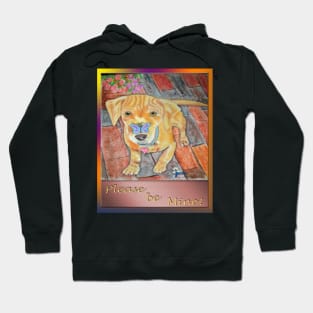 Honey Bear - Please Be Mine Hoodie